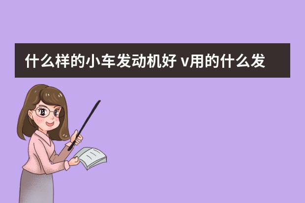 什么样的小车发动机好 v用的什么发动机