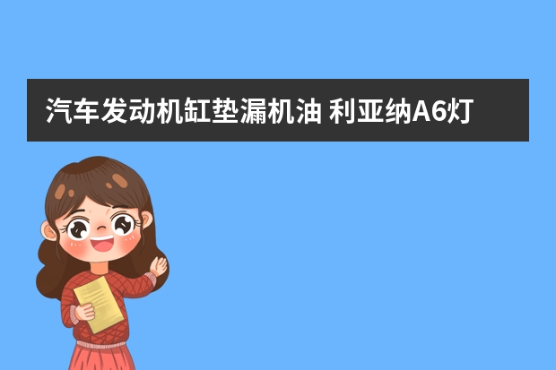 汽车发动机缸垫漏机油 利亚纳A6灯光不怎么亮(昌河铃木利亚纳发动机故障灯亮)